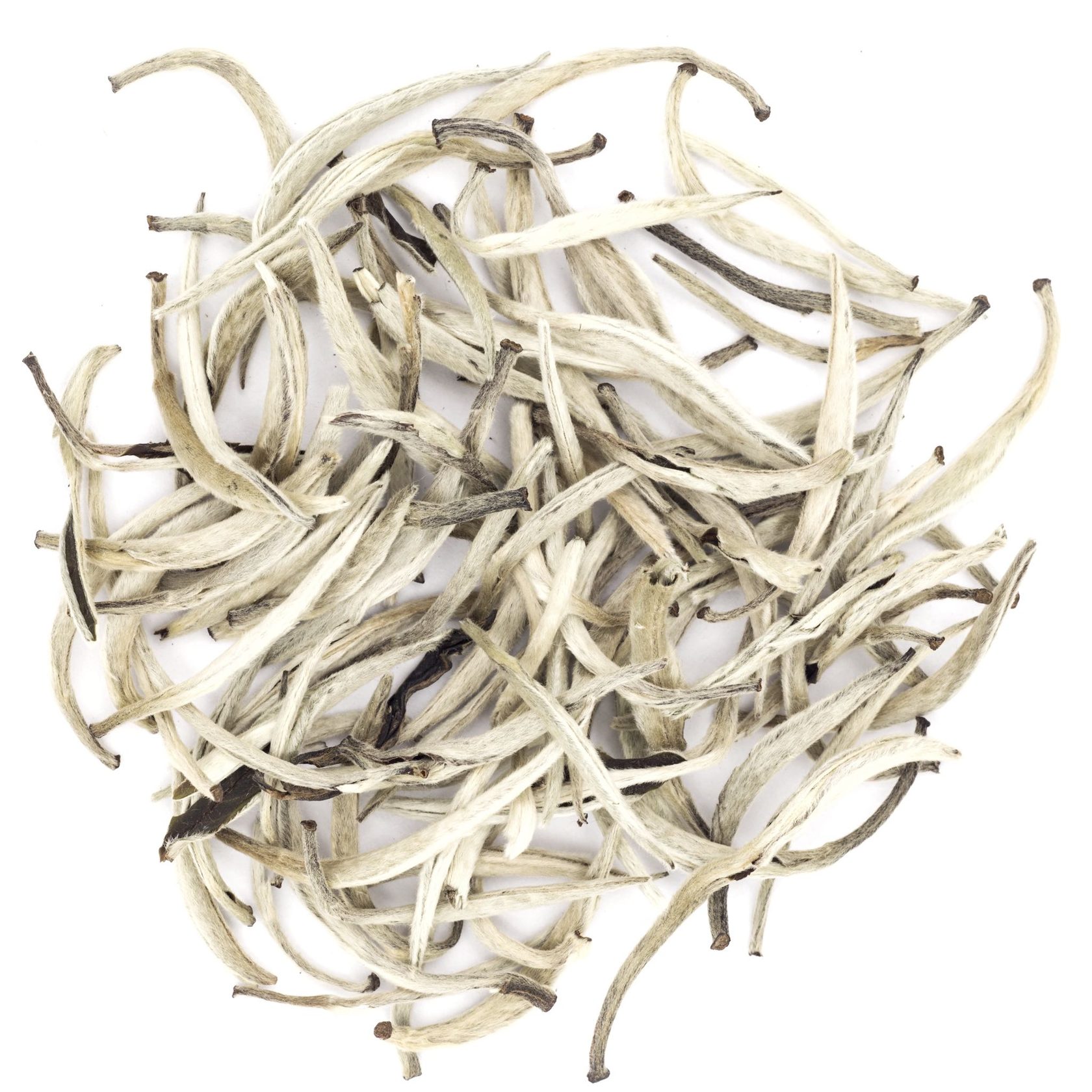 Bai Jian de Yunnan (Aguja de Plata de Yunnan)